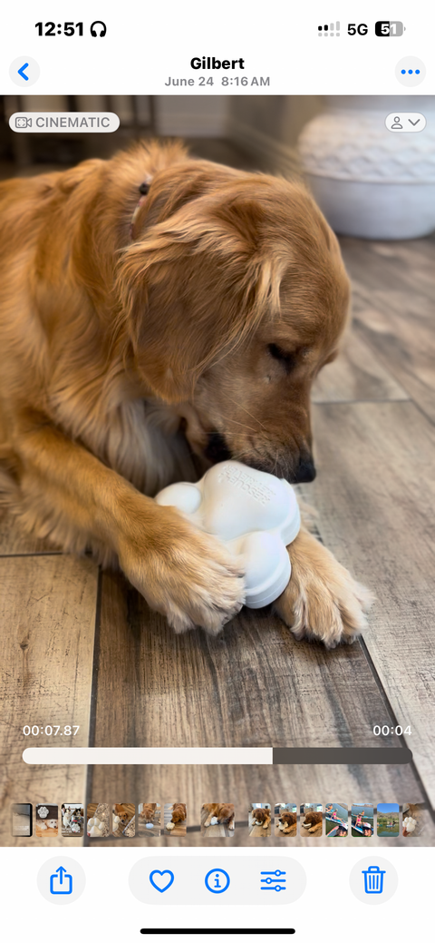 Chew Paw