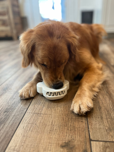 Chew Paw