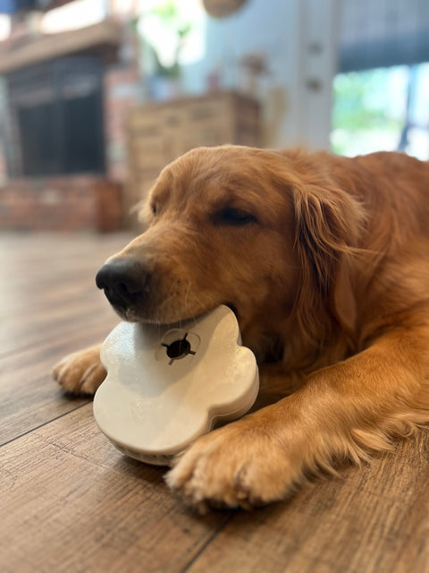 Chew Paw