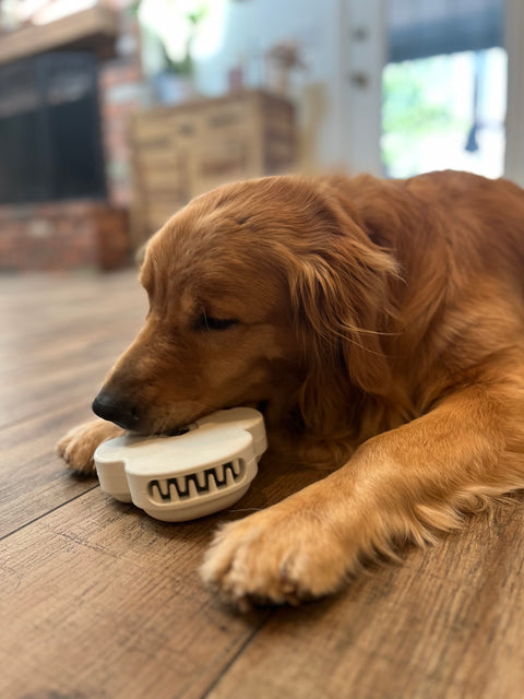 Chew Paw