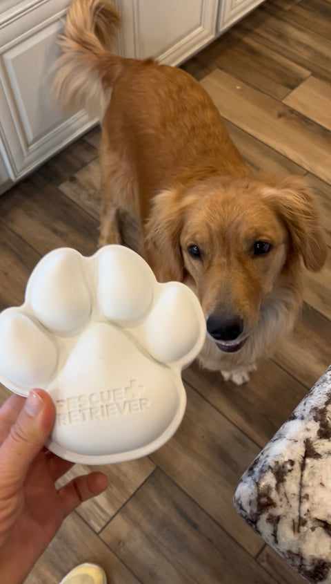 Chew Paw
