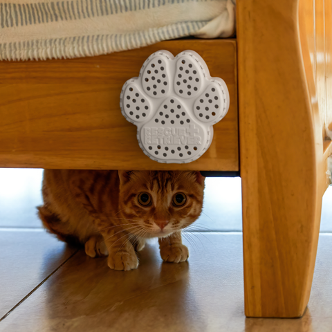 Cat peeking from under a wooden furniture piece with the Rescue Retriever smoke detector on top.
