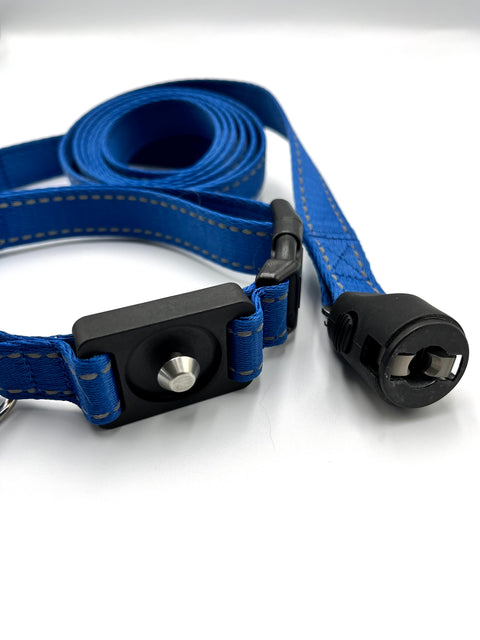 Clickette Magnetic Collar lock & Leash- Blue