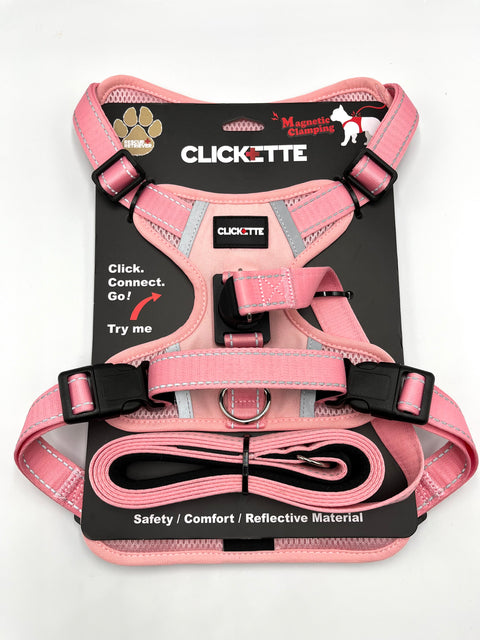 Clickette™ Magnetic Walking Set – Pink