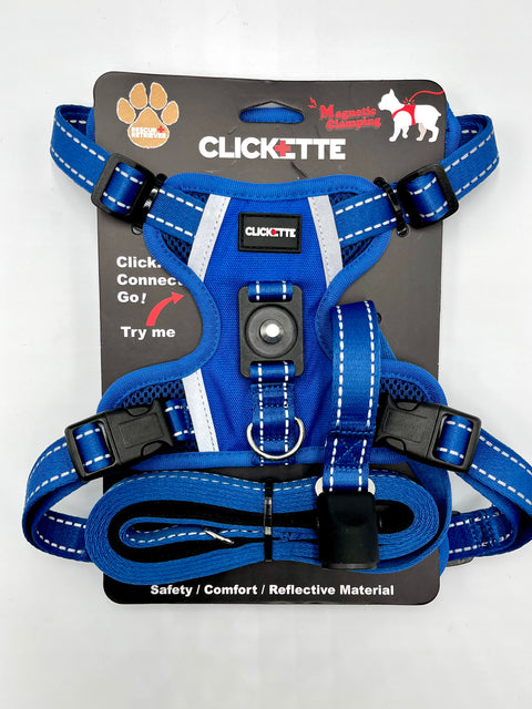Clickette™ Magnetic Walking Set – Blue