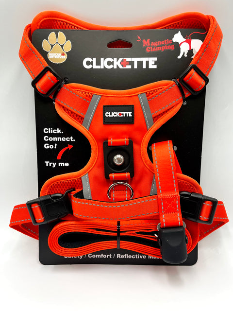 Clickette™ Magnetic Walking Set – Orange